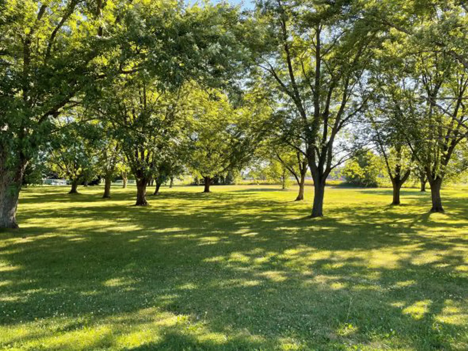 Broadview Park | County of Brant