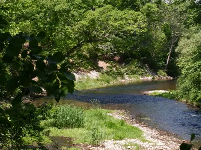 BurfordArtCadmanCentennialLionsPark_Burford_Photo_6.7.23   (29).jpg