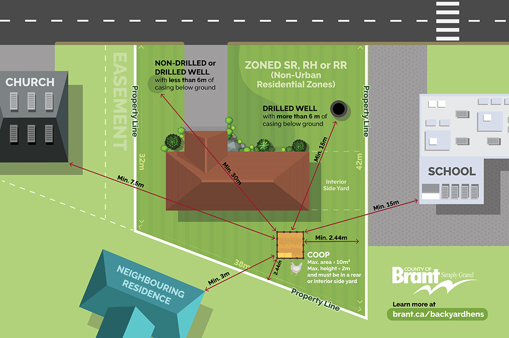 Backyard Hens Regulations Diagram