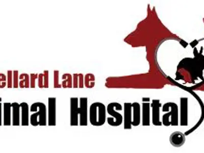 Shellard-Lane-Animal-Hospital.jpg