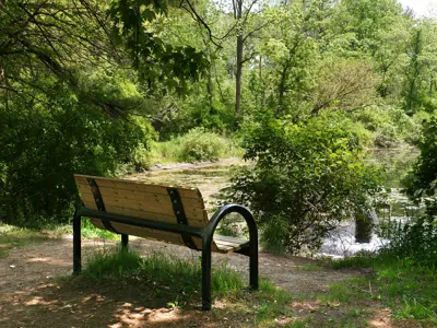 Mt.PleasantNaturePark_Mt.Pleasant_Photo_5.31.23  (17).jpg