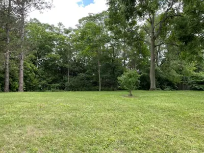 2022 Gilston Park Web.jpeg