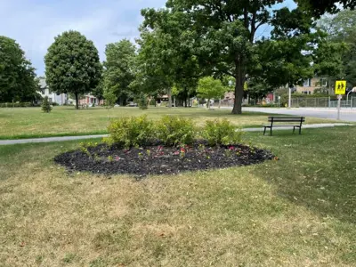 2022 King Wards Park Web.jpeg