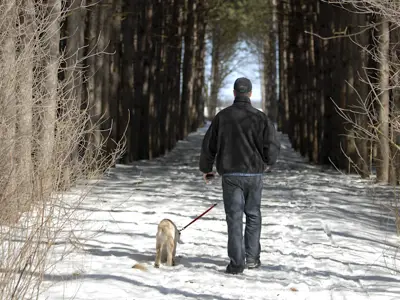 Brant County-128.jpg